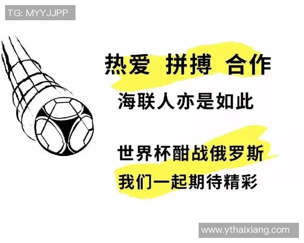 上海足球队的蜕变与未来发展路径深度解析