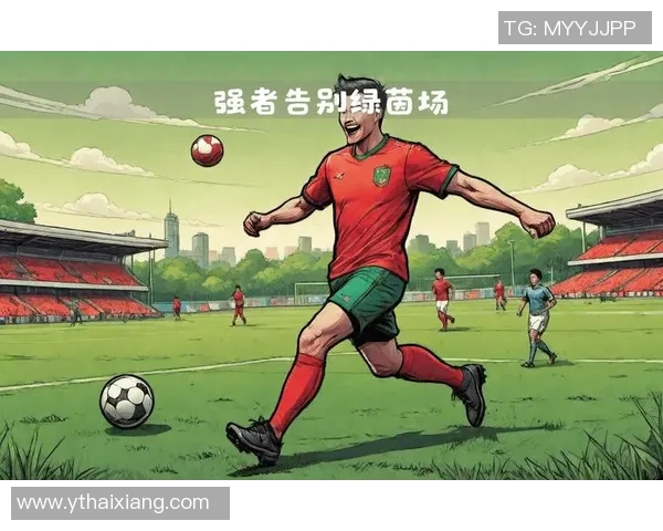 今年告别绿茵场的足球明星们回顾他们的辉煌职业生涯与未来计划